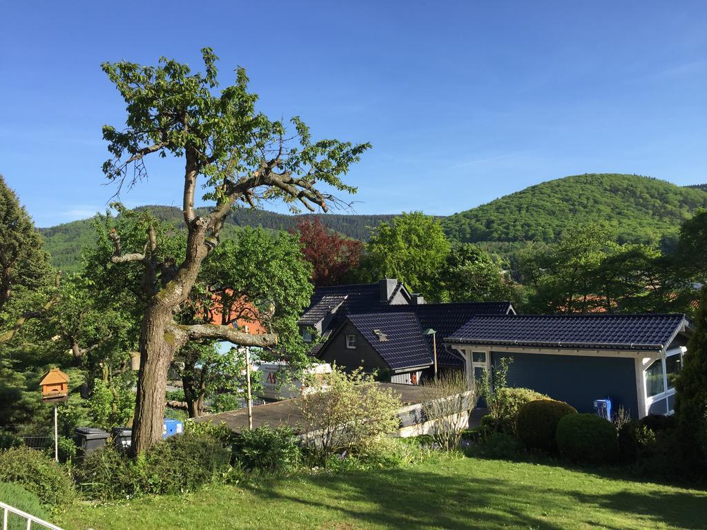 Ferienhaus Goethestrasse Bad Harzburg Exteriör bild